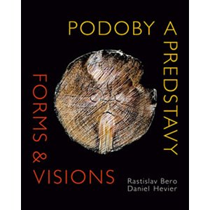 Podoby a predstavy Forms & Visions -  Daniel Hevier