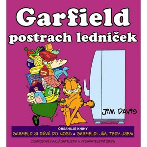 Garfield postrach ledniček -  Jim Davis
