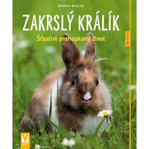 Zakrslý králík -  Monika Wegler
