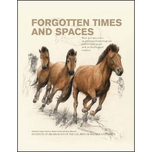 Forgotten times and spaces -  Martin Novák