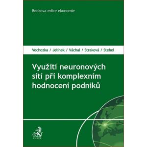 Využití neuronových sítí při komplexním hodnocení podniků -  Jiří Jelínek