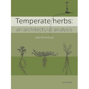 Temperate herbs -  Jitka Klimešová