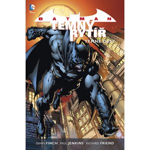Batman Temný rytíř 1 Temné děsy -  Petr Zenkl