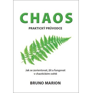 Chaos -  Bruno Marion