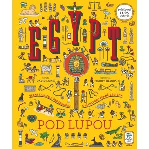 Egypt pod lupou -  David Long