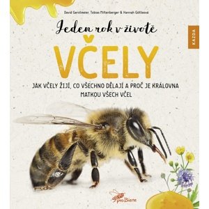 Jeden rok v životě včely -  Hannah Götteová