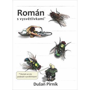 Román s vysvětlivkami -  Dušan Pirník