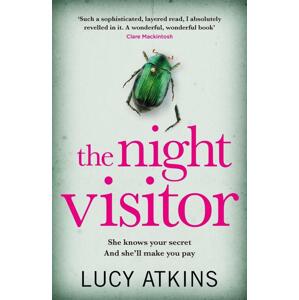 The Night Visitor -  Lucy Atkins