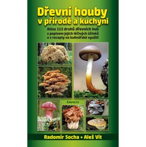 Dřevní houby v přírodě a kuchyni -  Aleš Vít