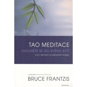 Tao meditace -  Bruce Frantzis