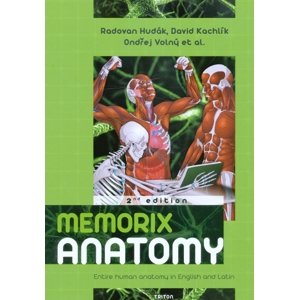 Memorix anatomy -  Autor Neuveden