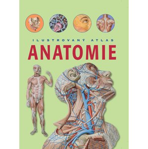 Anatomie Ilustrovaný atlas -  Autor Neuveden