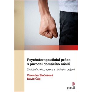 Psychoterapeutická práce s původci domácího násilí -  David Čáp