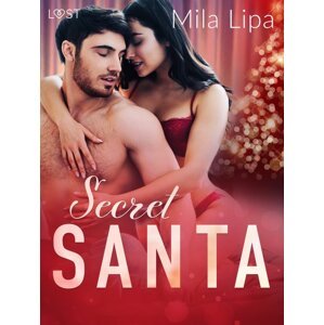 Secret Santa – Erotic Christmas Story -  Mila Lipa