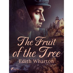 The Fruit of the Tree -  Edith Wharton