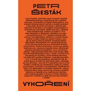 Vyhoření -  Petr Šesták
