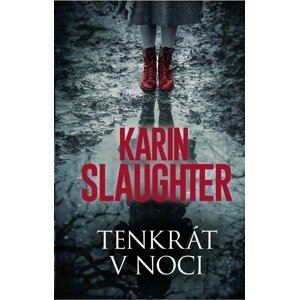 Tenkrát v noci -  Karin Slaughter