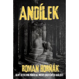 Andílek -  Roman Horňák