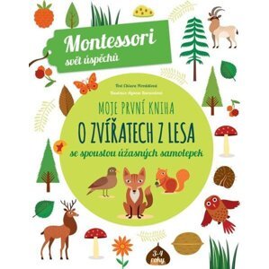 Moje první kniha o zvířatech z lesa -  Chiara Piroddi