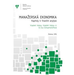 Manažerská ekonomika. Kapitoly k finanční analýze. -  Jiří Hoblík