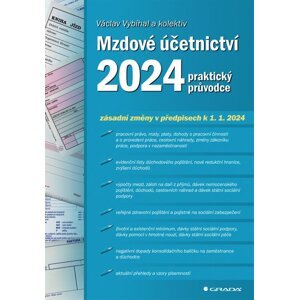 Mzdové účetnictví 2024 -  Václav Vybíhal