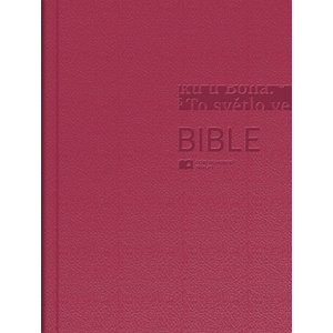 Bible -  Autor Neuveden