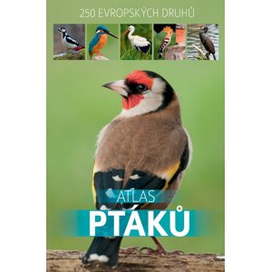 Atlas ptáků -  Autor Neuveden