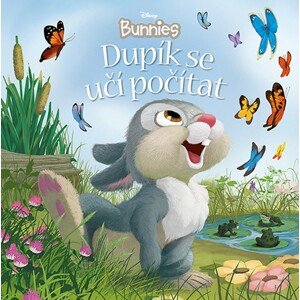 Disney Bunnies Dupík se učí počítat -  Autor Neuveden