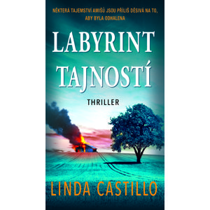 Labyrint tajností -  Linda Castillo