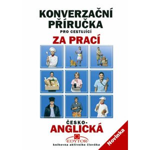 Konverzační příručka pro cestující za prací česko-anglická -  Kolektiv autorů