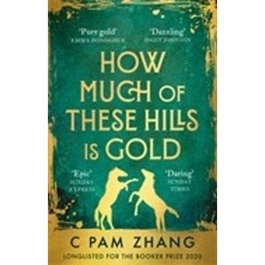 How Much of These Hills is Gold -  C. Pam Zhang