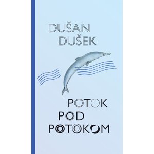 Potok pod potokom -  Dušan Dušek