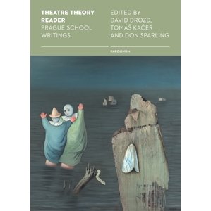 Theatre Theory Reader: Prague School Writings -  David Drozd