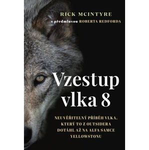 Vzestup vlka 8 -  Rick McIntyre