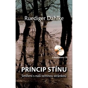 Princip stínu -  Ruediger Dahlke
