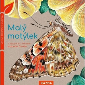 Malý motýlek -  Virginie Aladjidi
