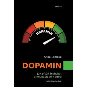 Dopamin -  Anna Lembke