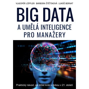 BIG DATA a umělá inteligence pro manažery -  Ing. Barbora Štětinová MBA