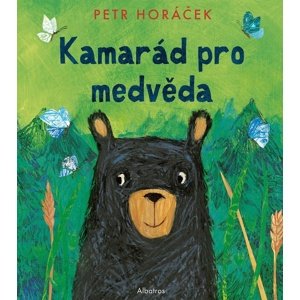 Kamarád pro medvěda -  Petr Horáček