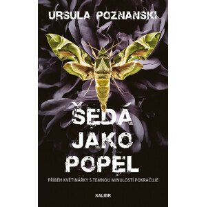 Šedá jako popel (Vanitas 2) -  Ursula Poznanski