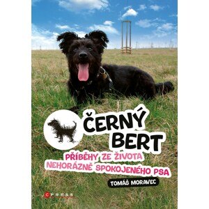 Černý Bert - příběhy ze života nehorázně spokojeného psa -  Tomáš Moravec