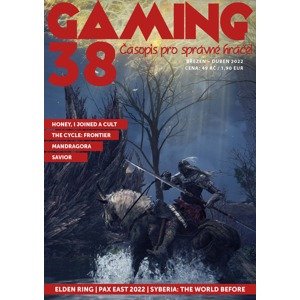 GAMING 38 -  Kolektiv autorů