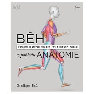 Běh z pohledu anatomie -  Kolektiv autorů