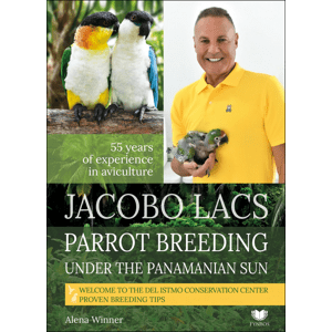 Jacobo Lacs Parrot breeding under the Panamanian sun -  Alena Winnerová