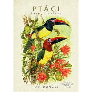 Ptáci Barvy pralesa -  Jan Dungel