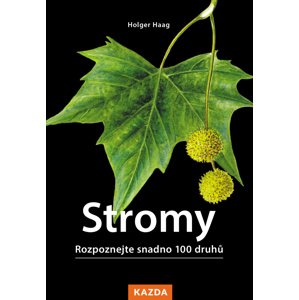 Stromy -  Holgen Haag
