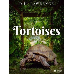 Tortoises -  D.H. Lawrence