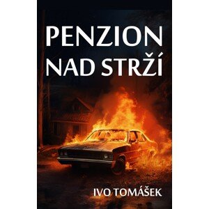 Penzion nad strží -  Ivo Tomášek
