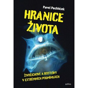 Hranice života -  Pavel Pecháček