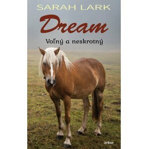 Dream -  Sarah Larková